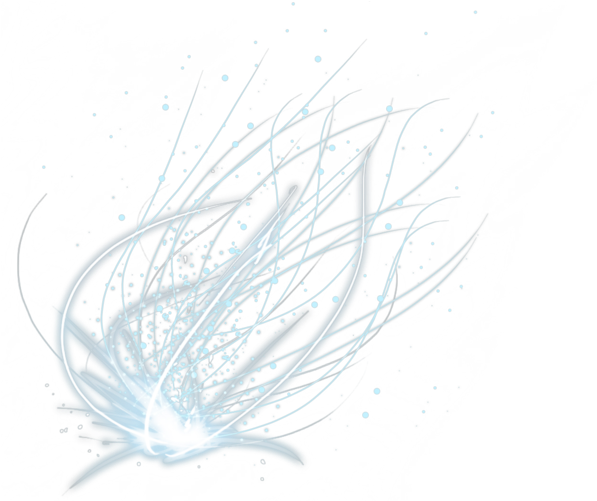 Category Icon